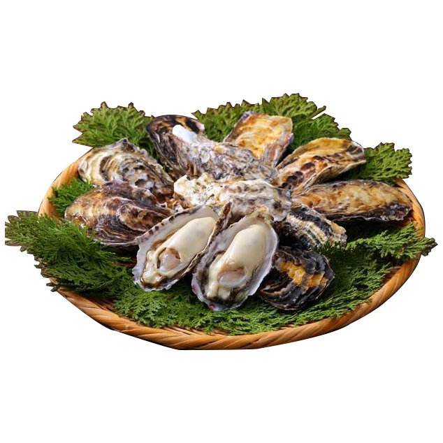 Замороженные морепродукты Устрица разумная