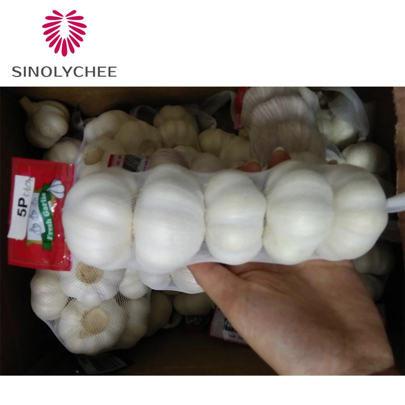 Import China Fresh Purple Garlic Wholesale 5P Garlic Mesh Bag
