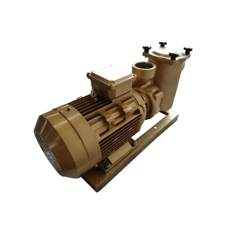 Trending Products 2024 New Arrivals 11Kw 15Hp Copper Circulator Pump Piscina 380V Air Pump For Swimming Pool For Aquaculture