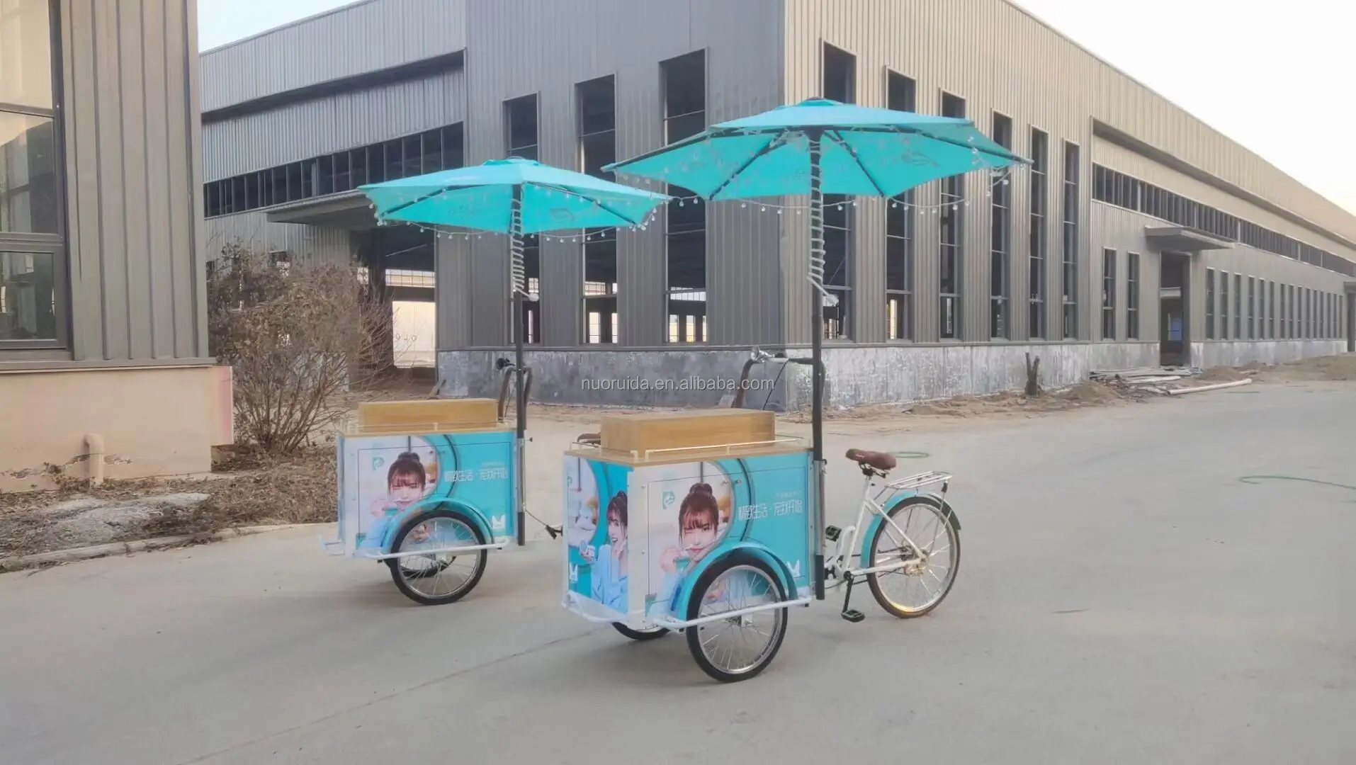 
factory directly supply high end ice cream cart bike mobile ice cream bike for food cart food bike ice cream cart 