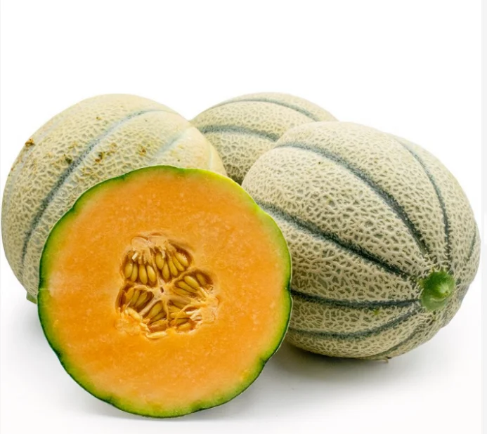 Распродажа семян дыни в полоску, сладкая канталупа