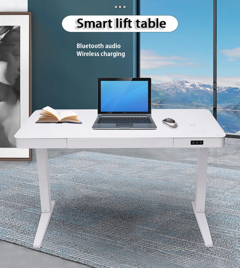 2022 Free Sample Freeshipping FengXiang2007 Ergonomic Office Electric Height Adjustable Sit To Stand Standing Desk