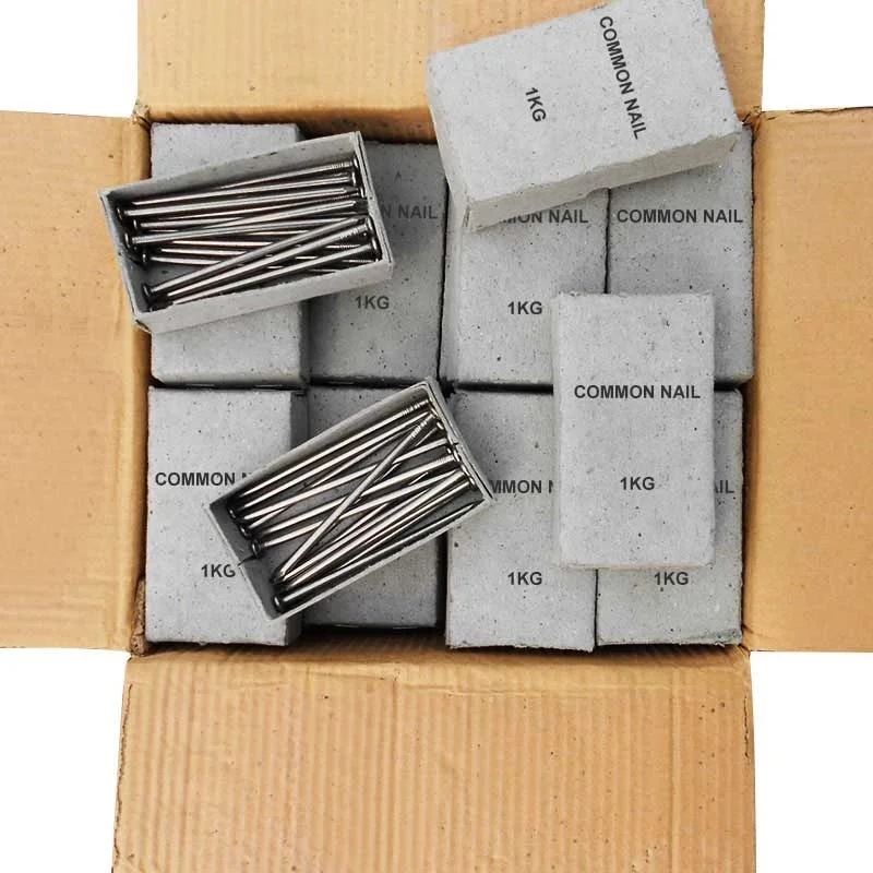 polished common round iron wire nails 1kg per box 16 boxes per carton for dubai from China