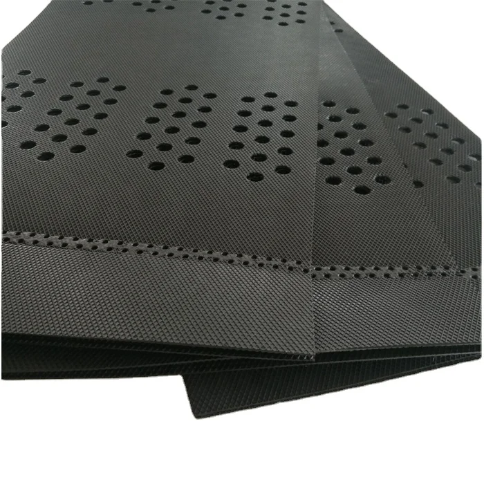 Geocell ground grid paver