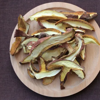 Wholesale Wild Pure Natural Mushrooms Edible High Quality Boletus Edulis Dried Funghi Boletus Mushrooms