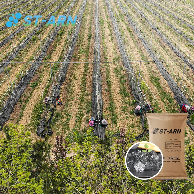Hidrogel Agricola Potassium Polyacrylate Agricultural Fertilizers Water Absorption Polymer