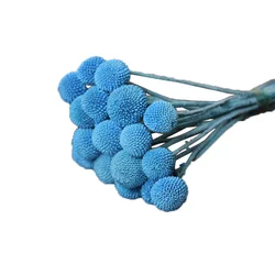 A-20 wholesale cheap natural Golden ball dry for candles arrangement resin Decorative flowers dried flower