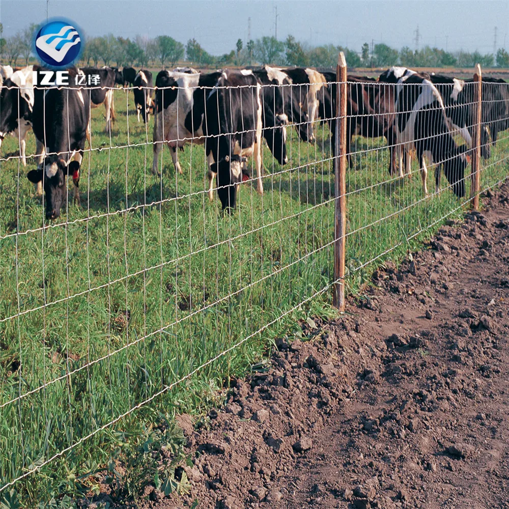 electric fence china