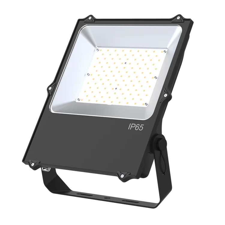 Classic factory price Die-cast Aluminum Tempered Glass LED Flood Light