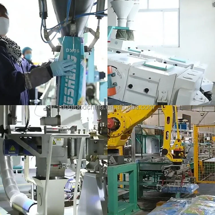 Full Production Line For Pet Food Making Hot Sale Low Price Balanced Nutrition Natural Fresh Healthy All stages Dry Cat Food