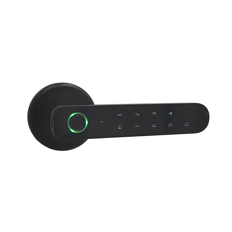 Black Zinc alloy Keyless Entry Door Digital Panel Smart Fingerprint Door Lock