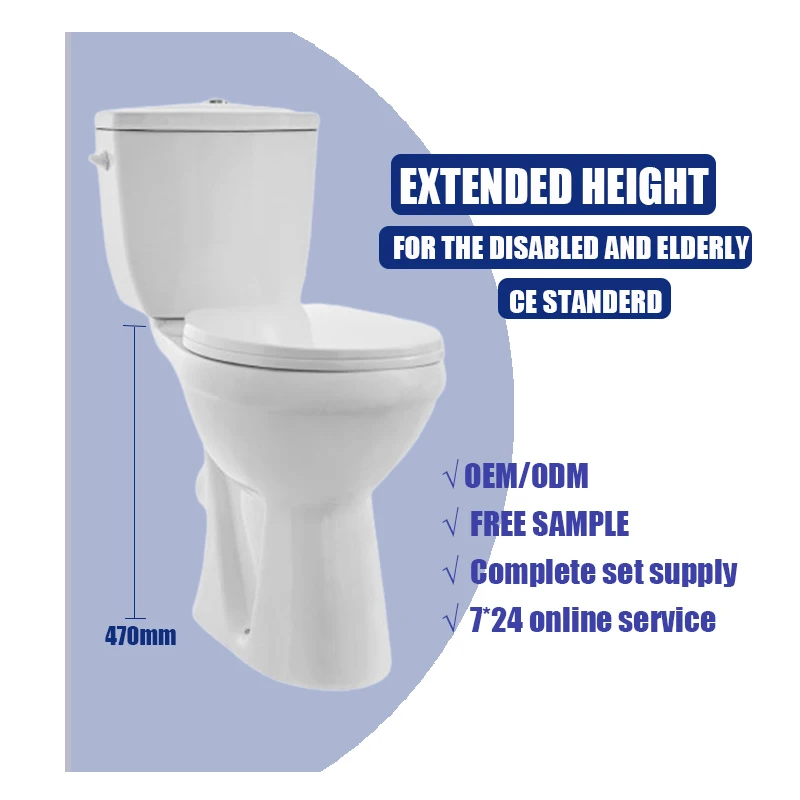 Bathroom Lavabo De Sa ll De Bain Toilette Pour Handicape Disabled Toilet Basin For Old People