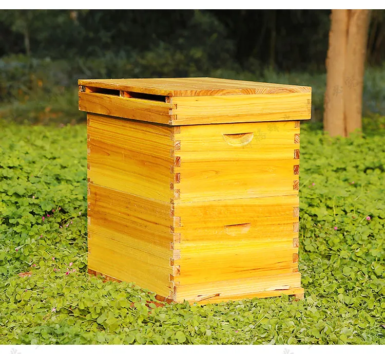 Beewaxed two layer three layer beehive