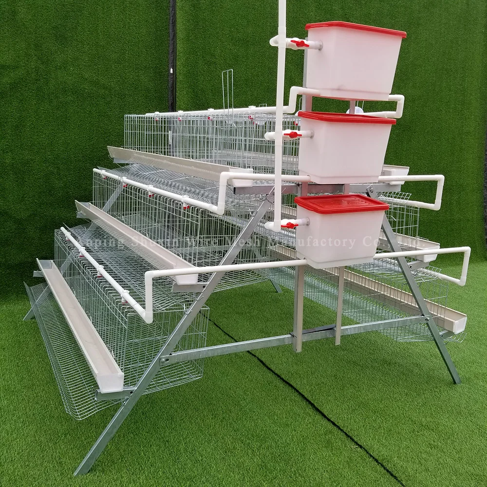 1000 Chickens Egg Layer chicken house With automatic water supply and feeder For Hens
