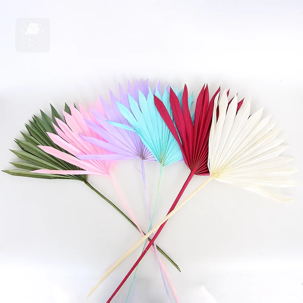 Boho Wedding Decor Natural Flower Plant Preserved Large Tropical Dry Palm Spears Fan Leaf Bleach White Small Dried Palm Leaves