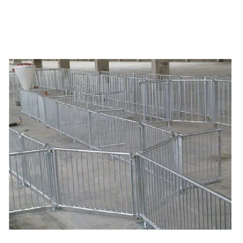 Livestock husbandry equipment manufacturer factory direct supplier hog fatten crate piglets finishing pen sow stall for sale