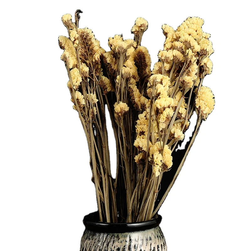 Factory Direct Sales Home Furnishings Shooting Props Wholesalers Bouquet Dried Flower