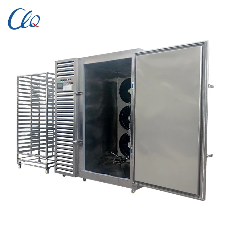 New Arrival Stainless Steel Professional Restaurant Food Shop Single Door Blast Chiller Freezer