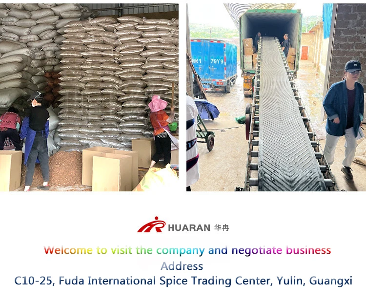 Hot Sale Factory Price Long Pepper  Dried Piper Longum Natural Organic Spices Long Pepper