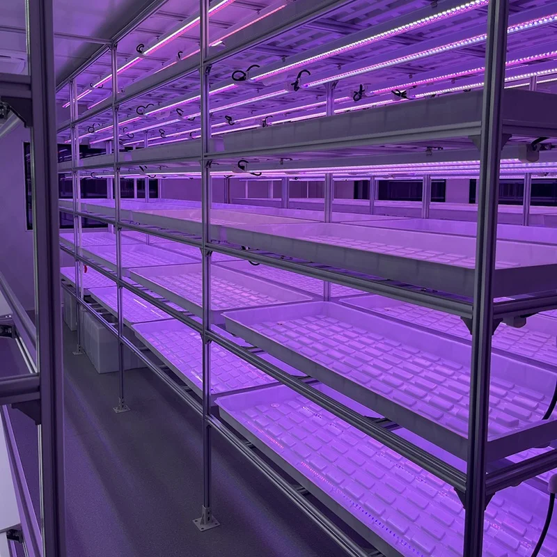 2023 OMANA Indoor Hydroponic Growing Systems Seed Growing Rack Planting Rack