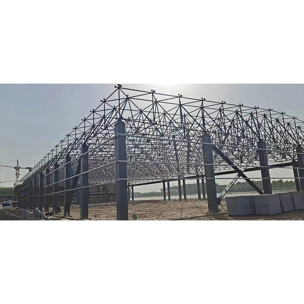 New Design and Structural Optimization of Long-Span Steel Space Frame Systems for Modern Aircraft Hangars