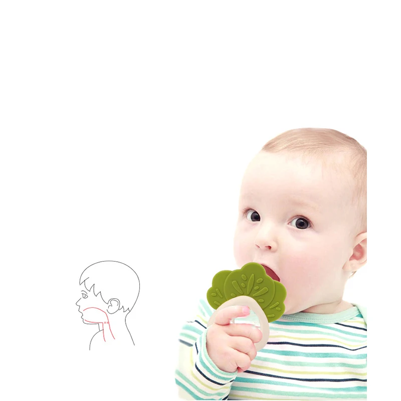 Soft silicone Vegetables teether Cauliflower and Carrot Teether for baby Chew Charms Kids Teething Gift Toddler Toys