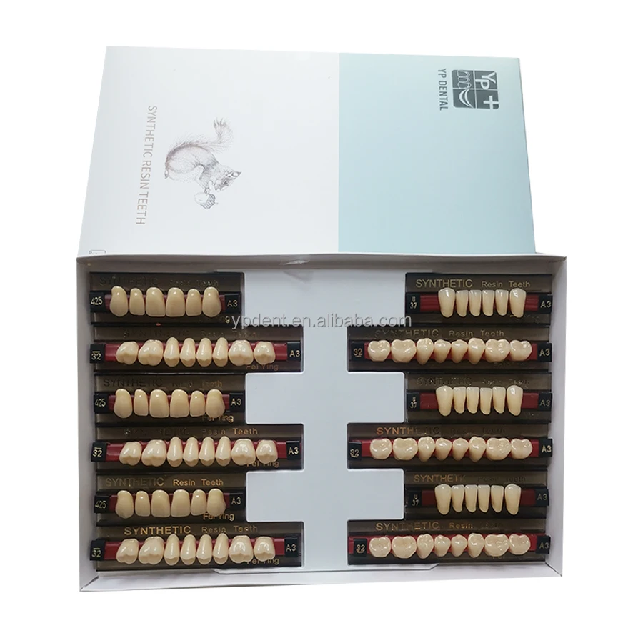 YP 28*3/BOX Upper Lower Artificial Acrylic Resin OEM 2 layer Artificial Acrylic Resin Teeth  Prosthesis Anterior posterior Teeth