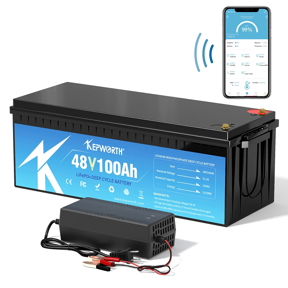 Wholesale EU stock Lifepo4 48V 100Ah 200Ah lithium ion Battery Pack 51.2 V 5KWh 10KWh Energy Storage with BMS for RV golf carts