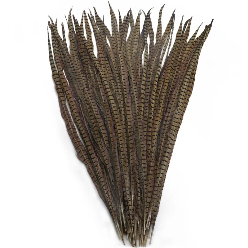 Natural Ringneck Pheasant Feathers for Crafts on The Head Extensions Long Feather Tail Clothes Decor Wedding Carnival Decoration