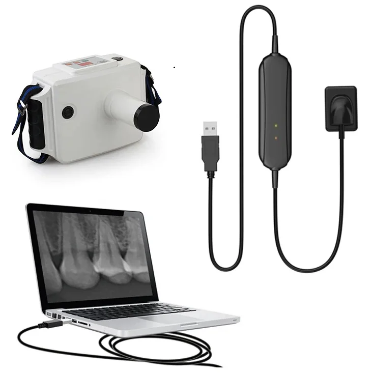 HDR500C/600A Great performance high technology dental X-RAY rvg sensor digital for big promotion