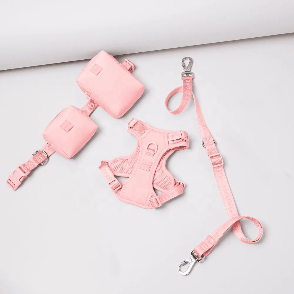 2022 фирменные товары для домашних животных лидер продаж индивидуальный логотип без вытягивания свободные руки воздухопроницаемая подкладка собак и комплект с поводком 3