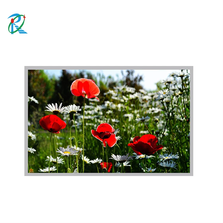 17.3 inch 1000nits portable lcd screen available with auto-brightness sensor