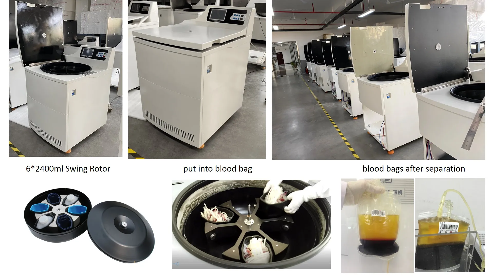 floor type blood bag OEM Utra high-capacity centrifuge with swing bucket rotor DL8M-12L