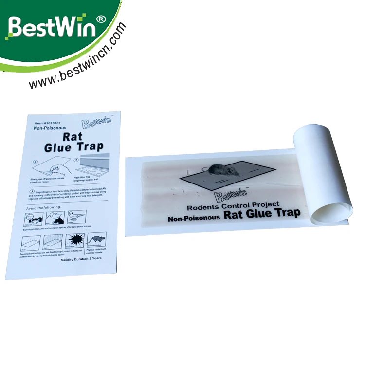 2021 new professional pest control factory strong viscous mouse glue trap