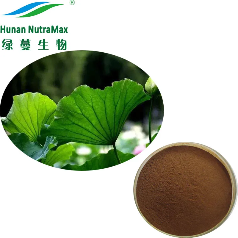 Порошок экстракта Nelumbo Nucifera порошок листьев лотоса с флавоноидами