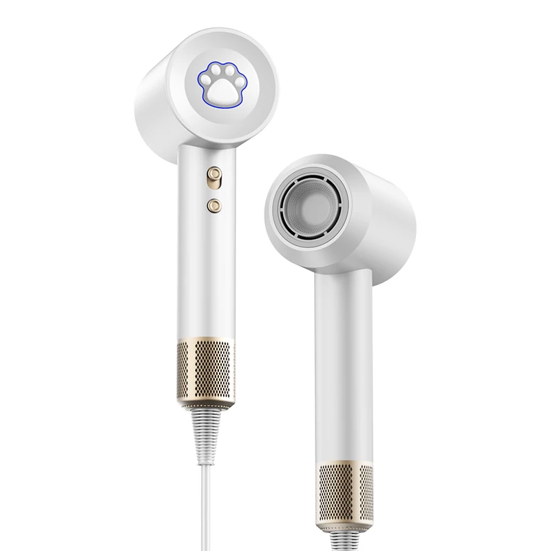 2024 Factory Price 200 Million Negative Ion Brushless Motor Quiet High Speed Hair Dryer Professional Salon for Household Hotel