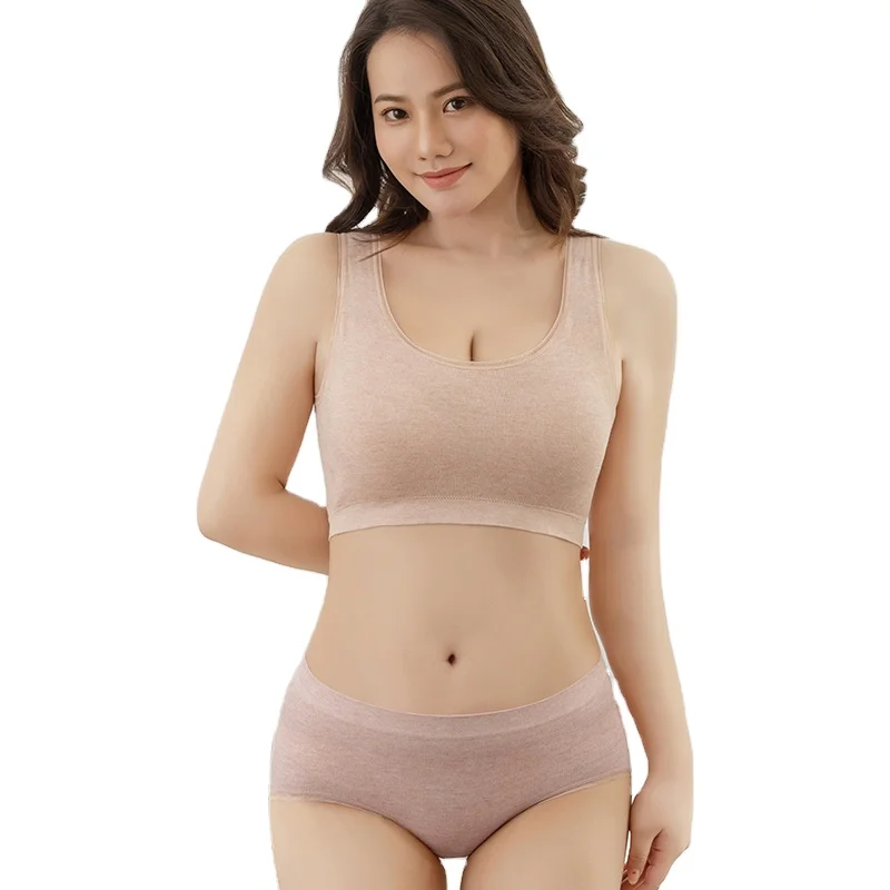 Quality Women Push Up Bras Sets Comfortable Bra And Panties Plus Size Underwear Panty Sets Panty and Bra Set for Women