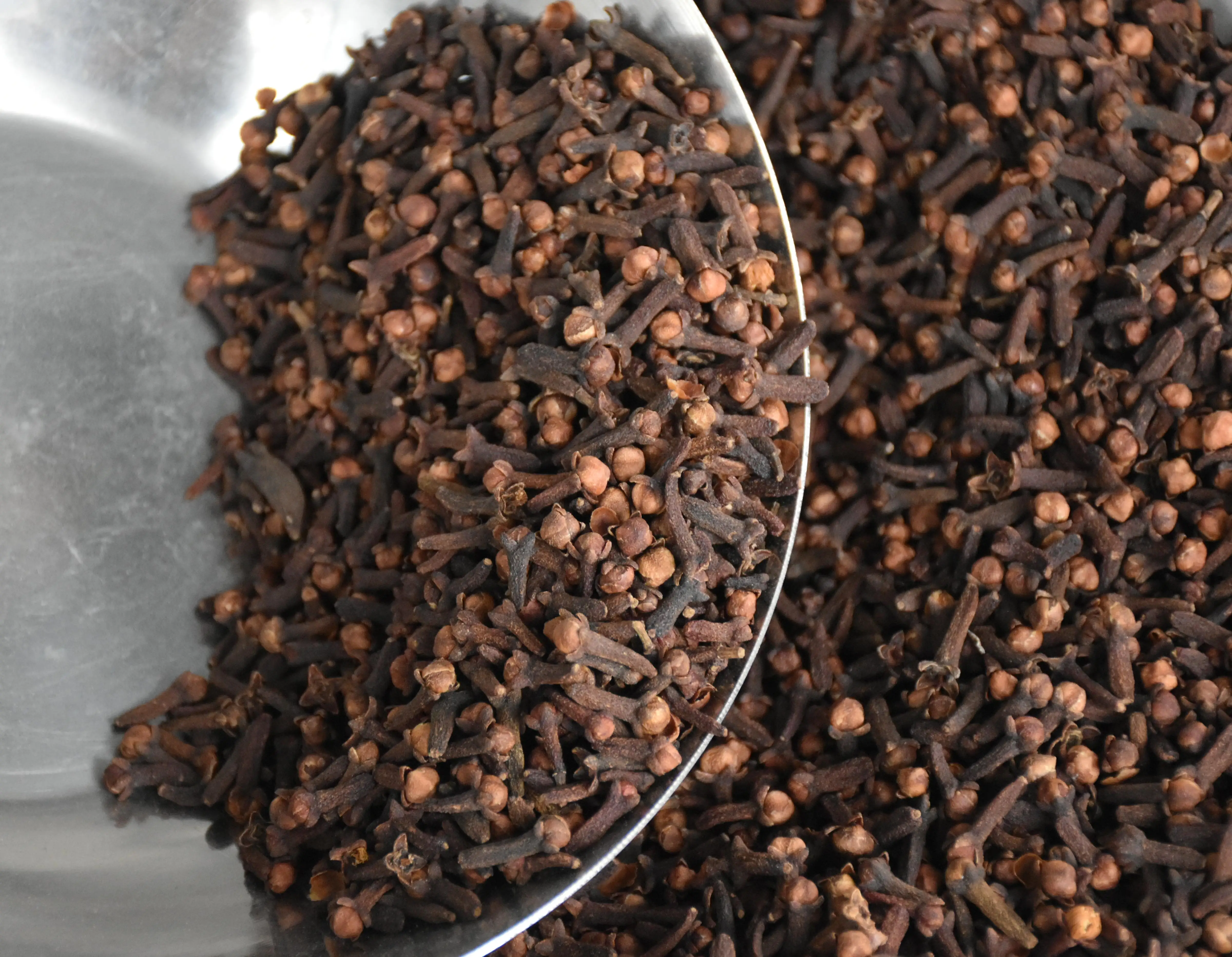China spices   wholesale factory directory sell high-quality  cloves  with low price