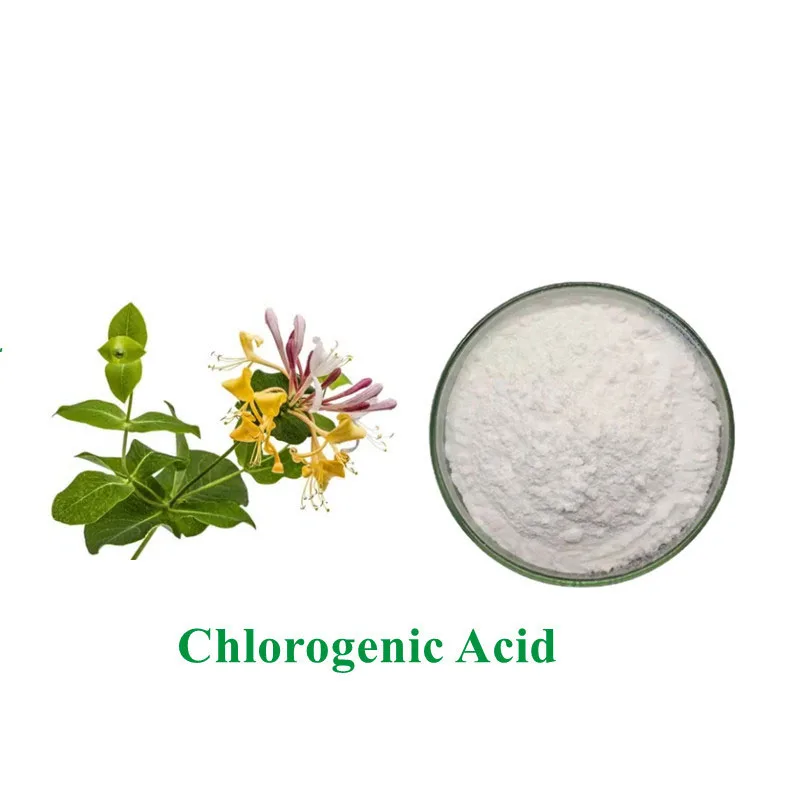Pure Chlorogenic Acid White powder Honegsukle Raw Flower extract powder