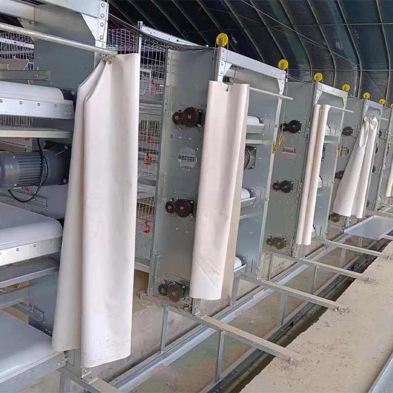 Steel Chicken Farming Prefab House Complete Solutions Automatic Layer Broiler Poultry Cage System Multifunctional Egg Chicken