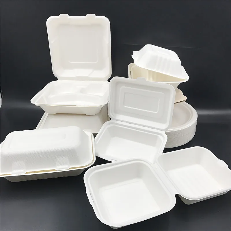 2024 New style eco bagasse container disposable take out bento box biodegradable to go lunch box for school