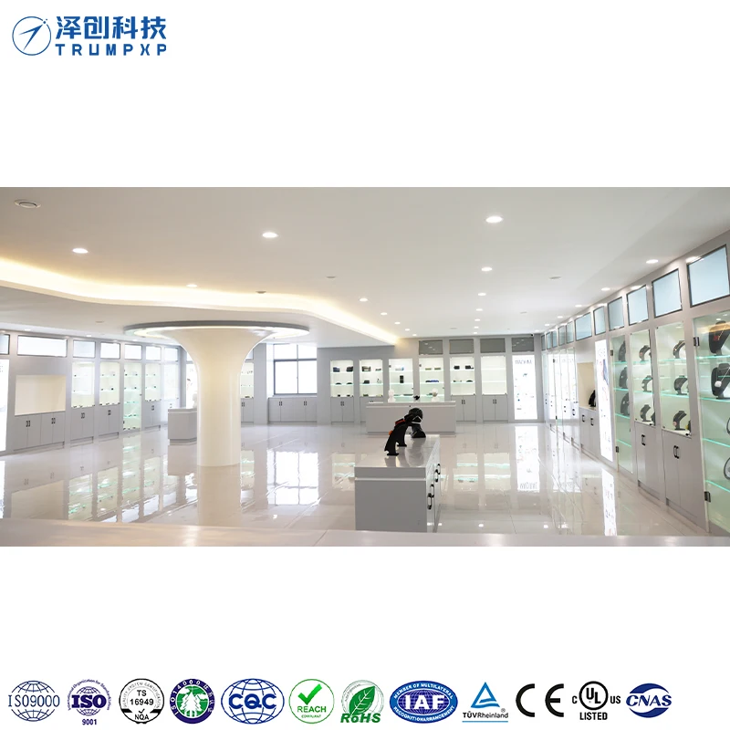 long life 100mg ozone  accessories ac110v 220v dc12v 24v mini ozone generator air purifier parts