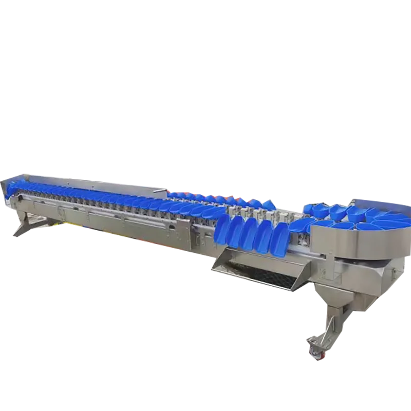 Fish Weight Grading Belt Type Seafood Sorting Machine