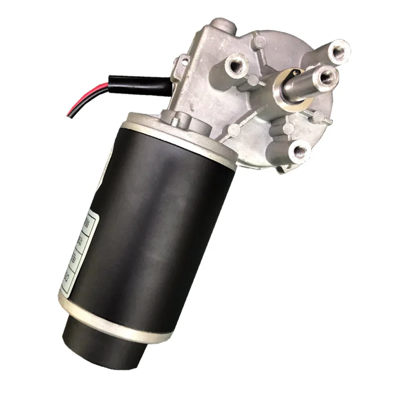 High Torque 24V Dc Motor with Encoder Worm Geared Long Shaft Electric 100kgcm 12V Dual Shaft Motor