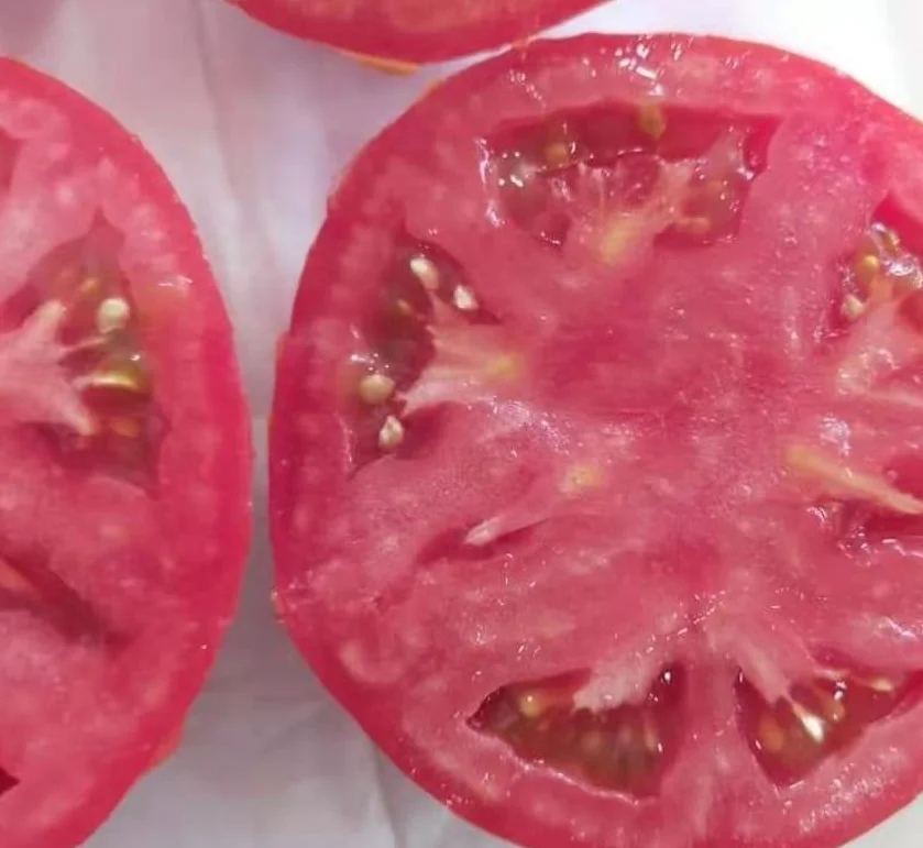 Гибридные высококачественные семена томатов TMV