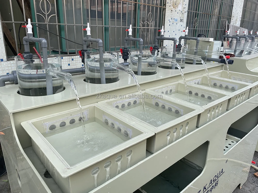 pisciculture other aquaculturer equipment tilapia fish incubator mini hatchery fish