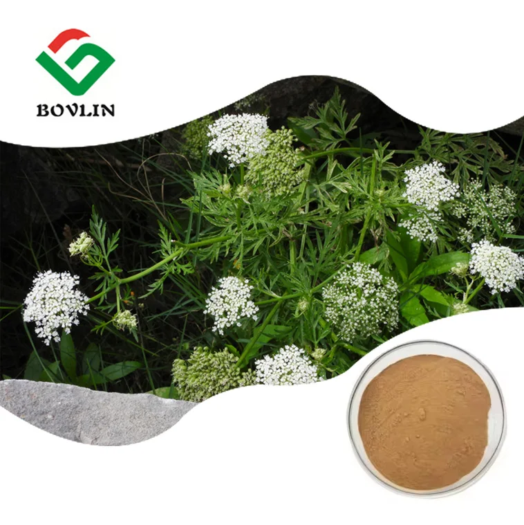 Лучшая цена экстракт Cnidium Monnieri порошок осхола 10%-98%