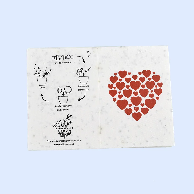 Customize Handmade Greeting card Colorful postcard and Christmas greeting card Recyclable environment-friendly seed paper card