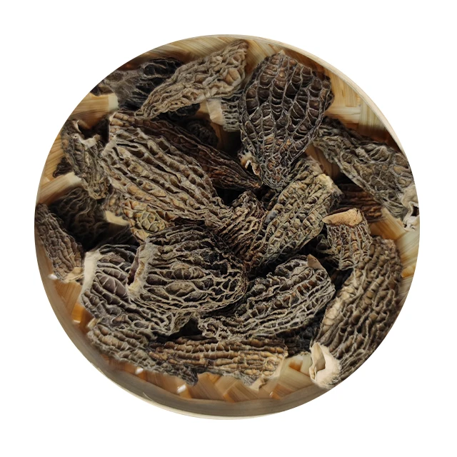 Yunnan wholesale high quality and large size morels  artificially planted morels