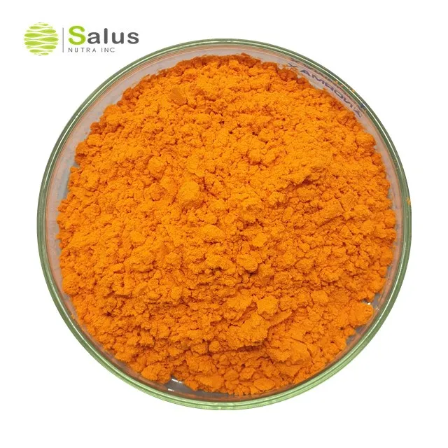 Factory Price Bulk Natural Curcuma Extract curcumin 95%